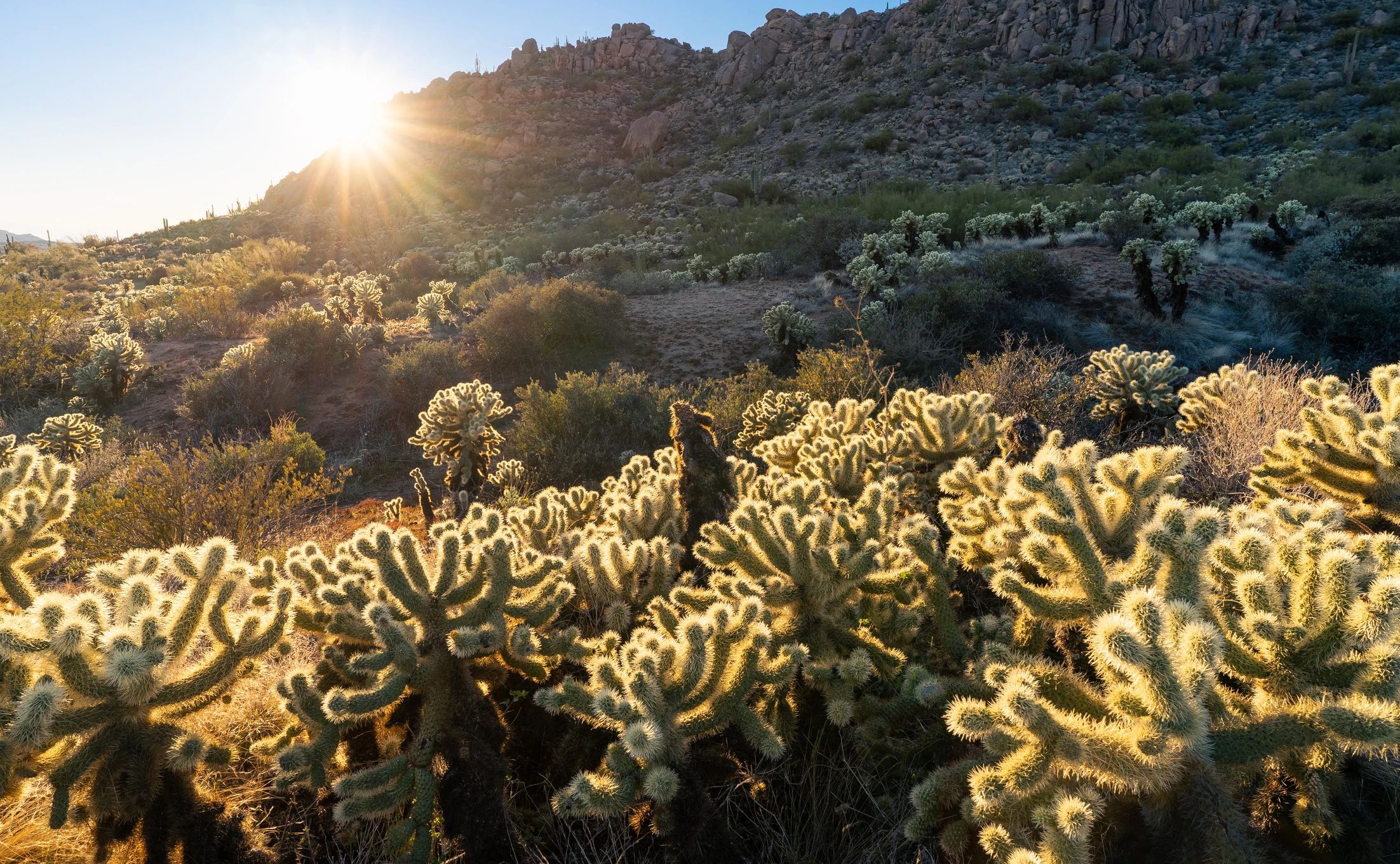damage restoration service area in Scottsdale Arizona