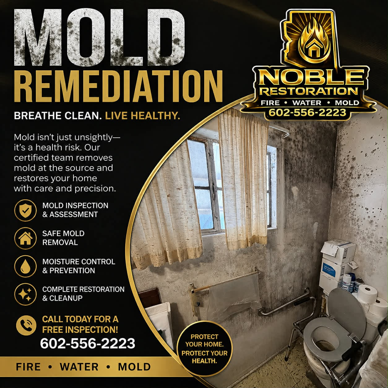 Mold Remediation Services in Phoenix Arizona